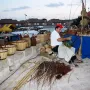 firaartesansaltafulla-2004-01.webp
