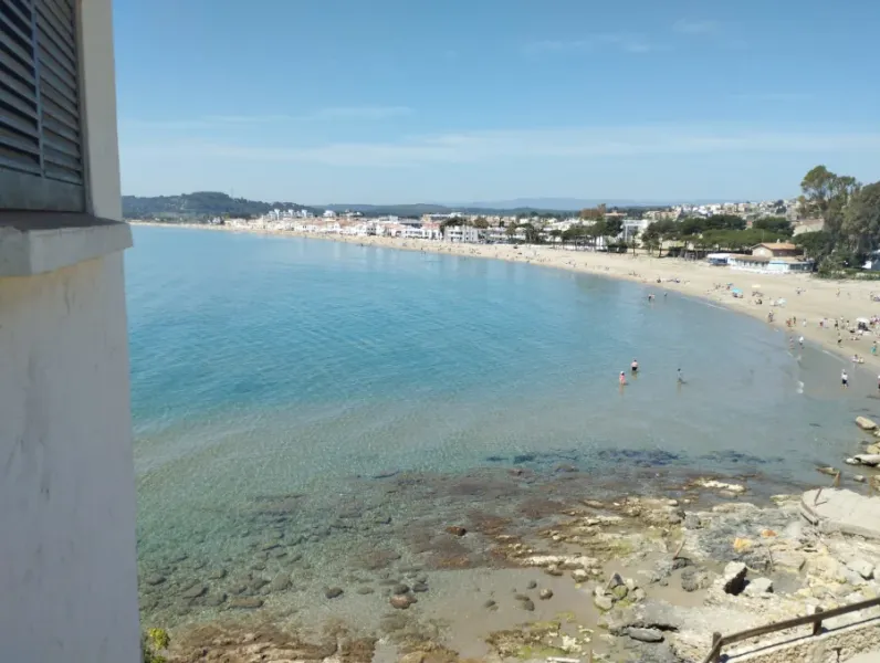 platjaaltafulla-2024.webp platjaaltafulla-2024.webp