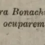jaumebonachi-diarioespanol-01.webp